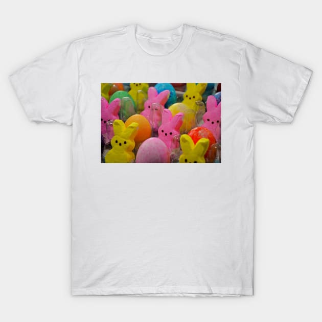 Eggs and Bunnies Study 1 T-Shirt by bobmeyers